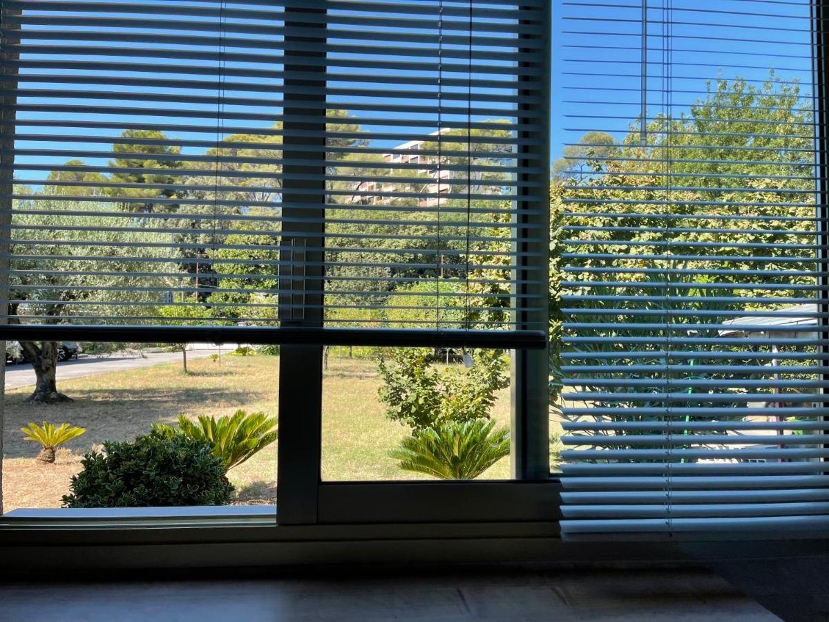 Studio Tout Confort Au Calme Avec Jardin Proche Cannes 勒卡内 外观 照片